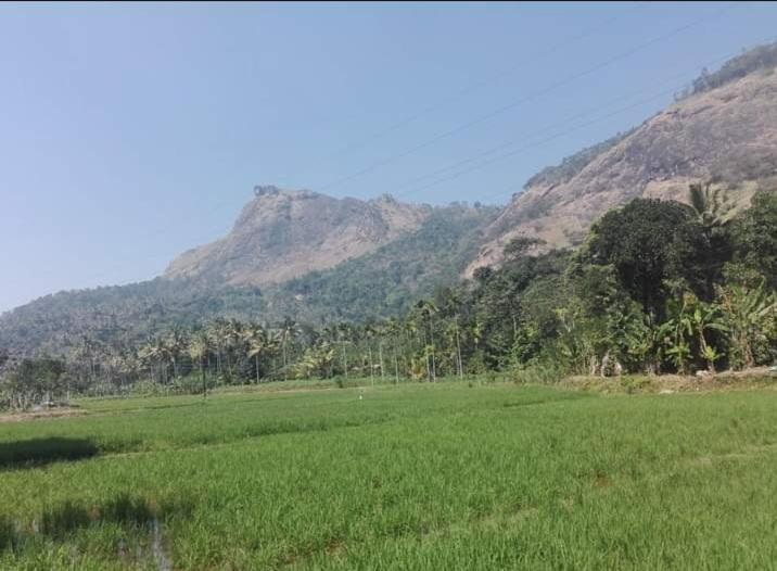 Munnar Lush Greens Exterior photo