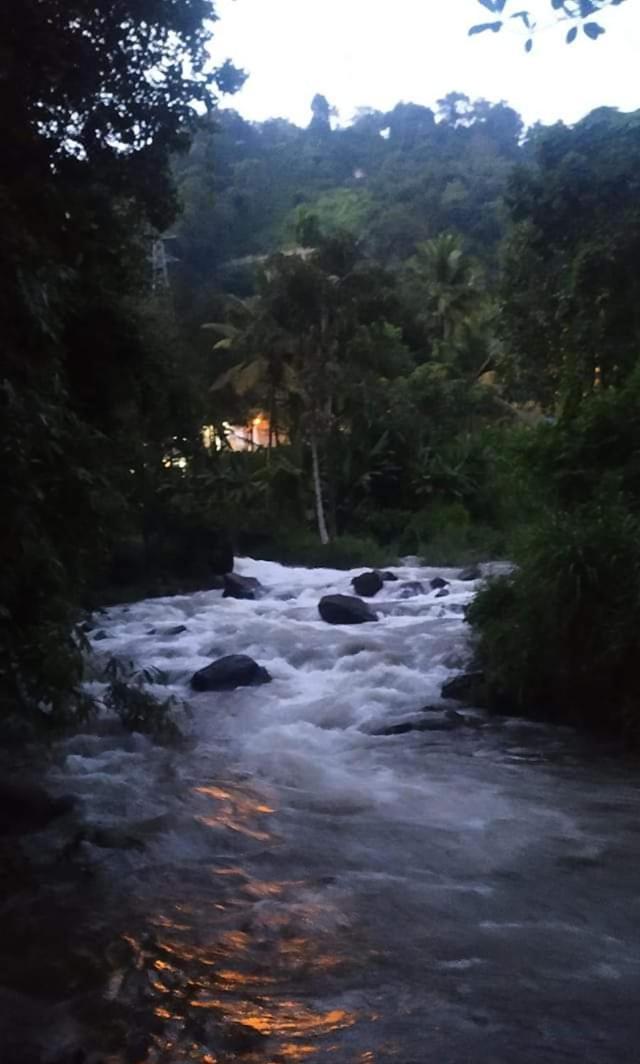 Munnar Lush Greens Exterior photo