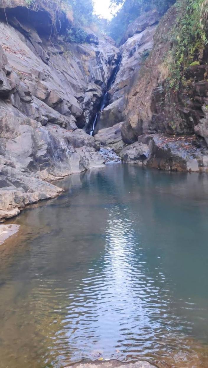 Munnar Lush Greens Exterior photo